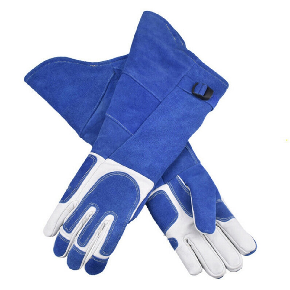 Bird Handling Gloves Training Supplies - Image 6