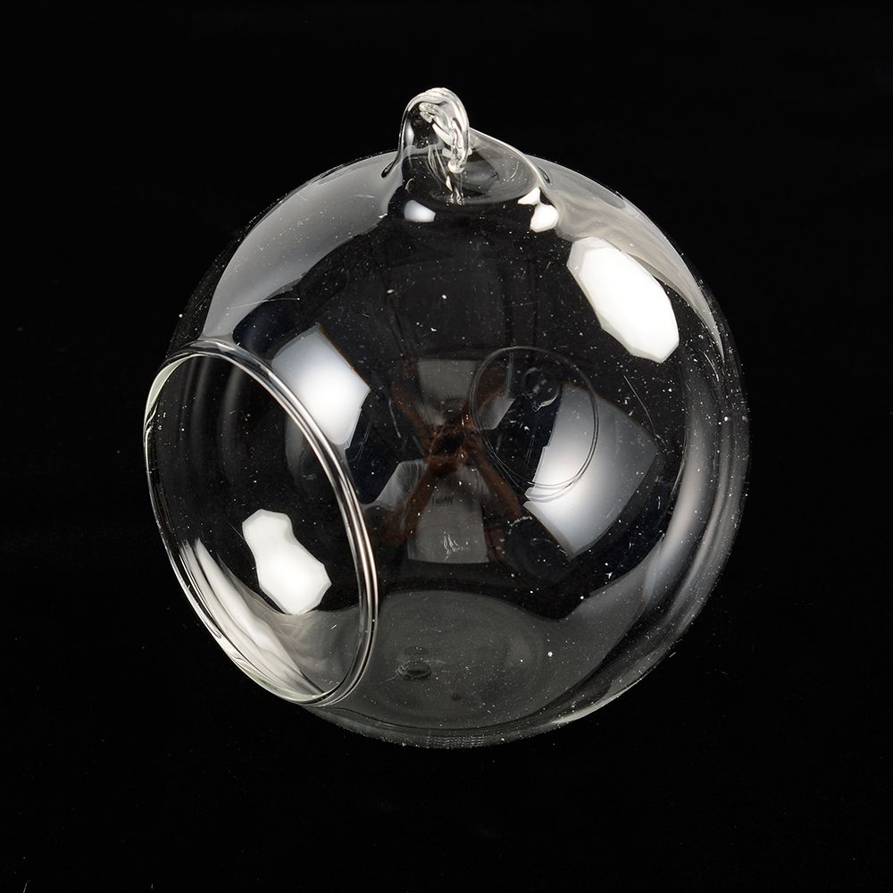 Clear Hanging Air Plant Vase - Image 5