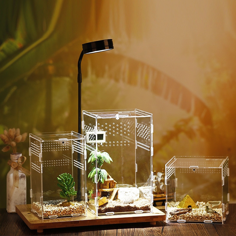 Acrylic Tarantula Enclosure Pet Box - Image 4