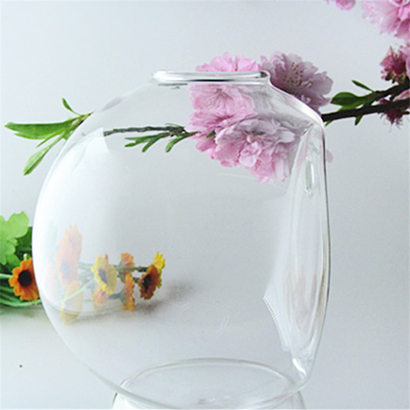 Glass Plant Pot Hanging Decor