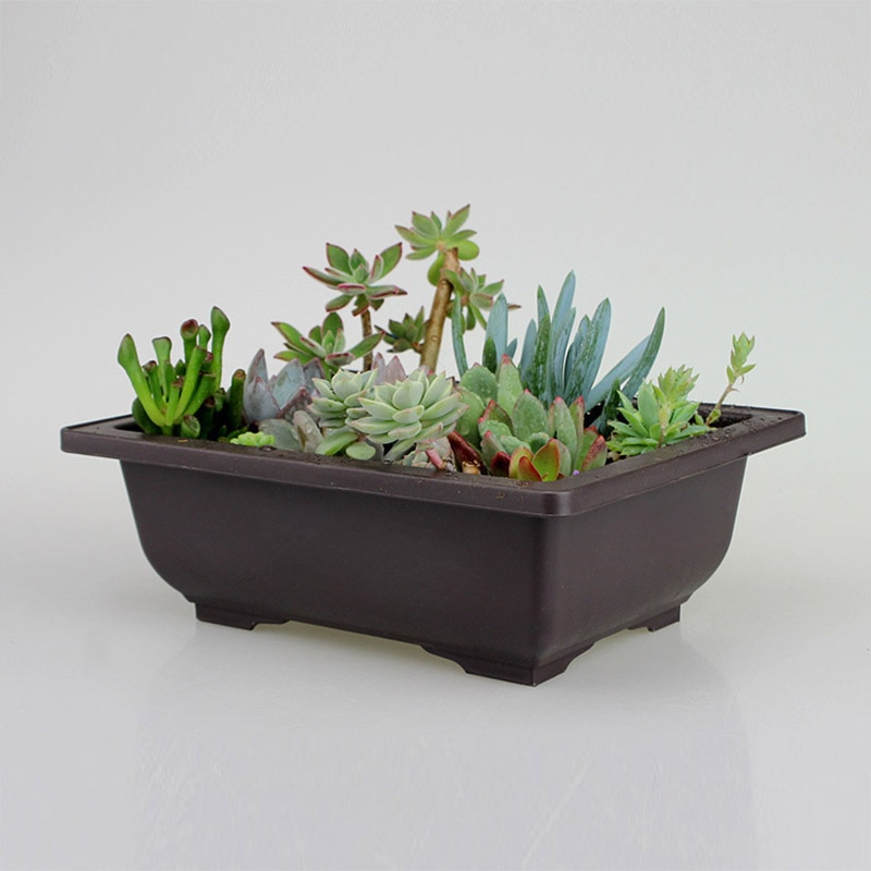 Bonsai Pot Plastic Plant Box - Image 4