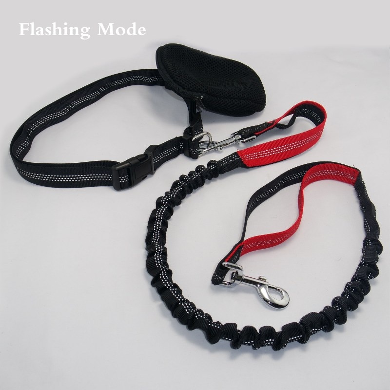 Dog Running Leash Elastic Rope - Image 3