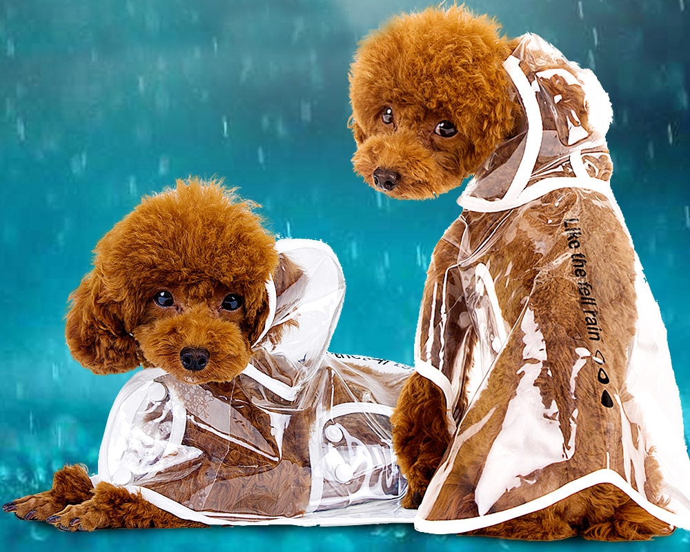 Dog Raincoat Light Rain Guard - Image 4
