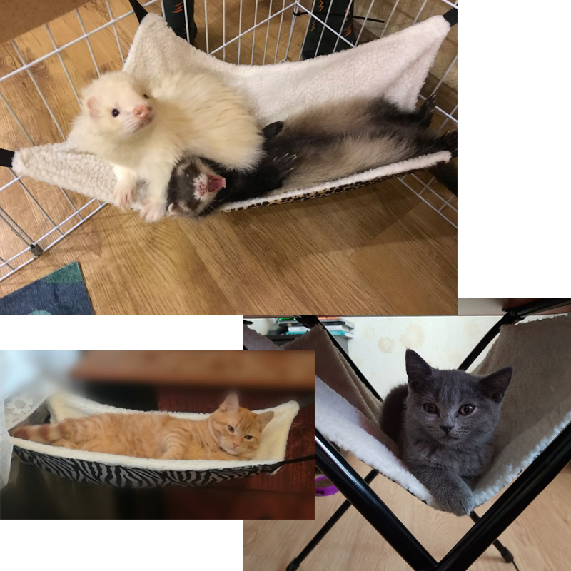 Cat Hammock Bed Hanging Pet Mat - Image 2