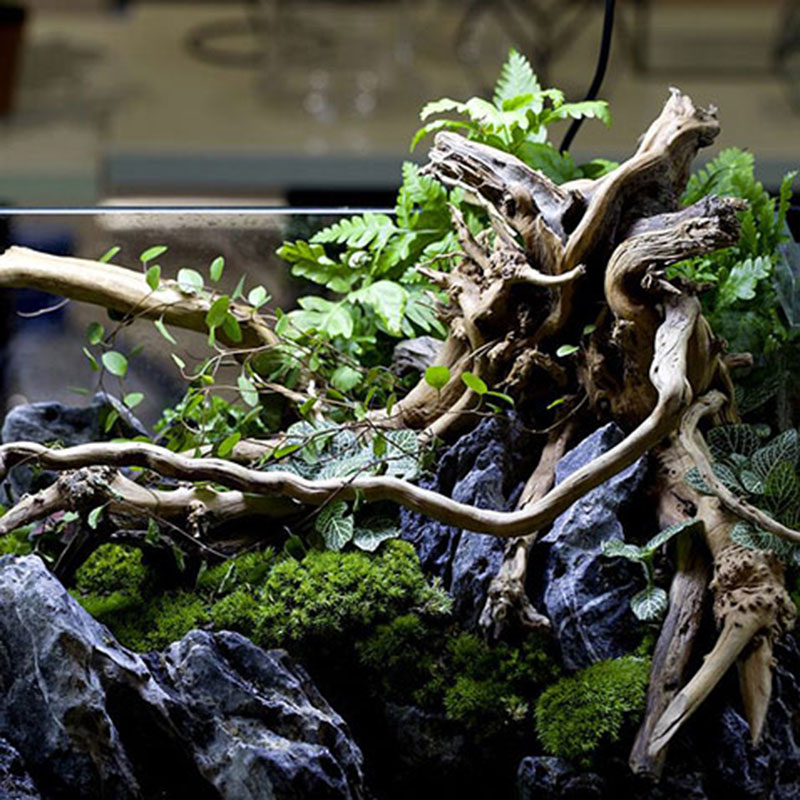 Aquarium Driftwood Fish Tank Decorative - Image 6
