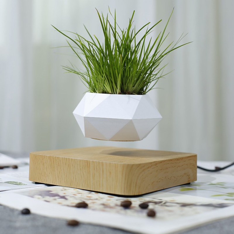 Floating Flower Pot Levitating Planter - Image 4