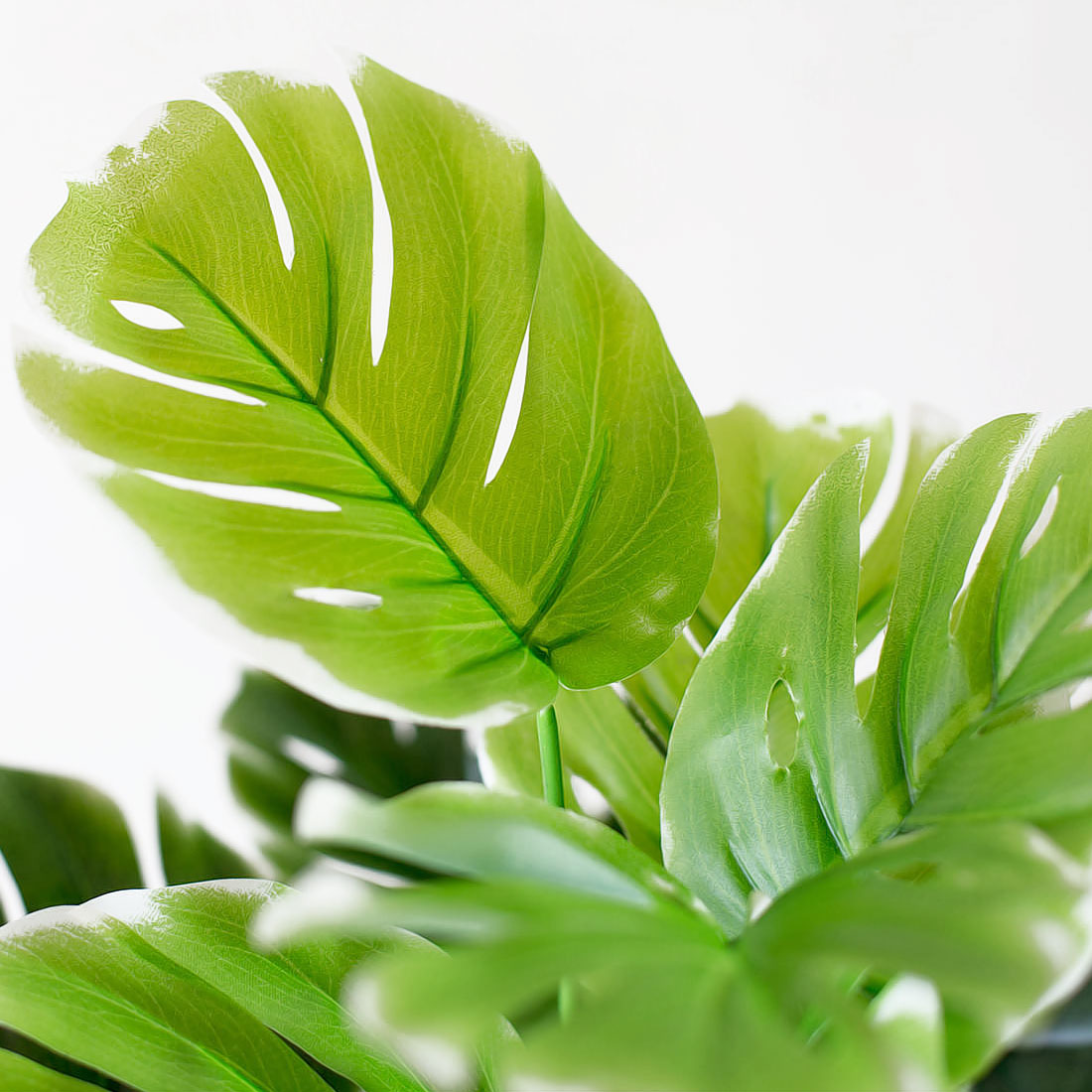 Faux Plants Artificial Leaves Decor - Image 6