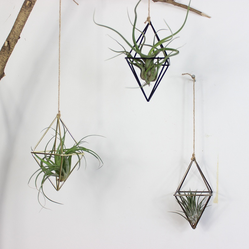 Air Plant Hanger Geometric Holder - Image 6