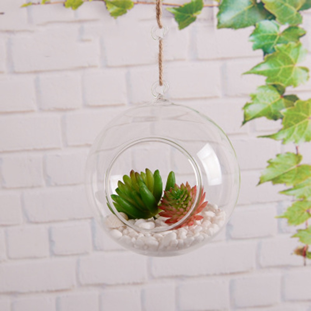 Clear Hanging Air Plant Vase - Image 4