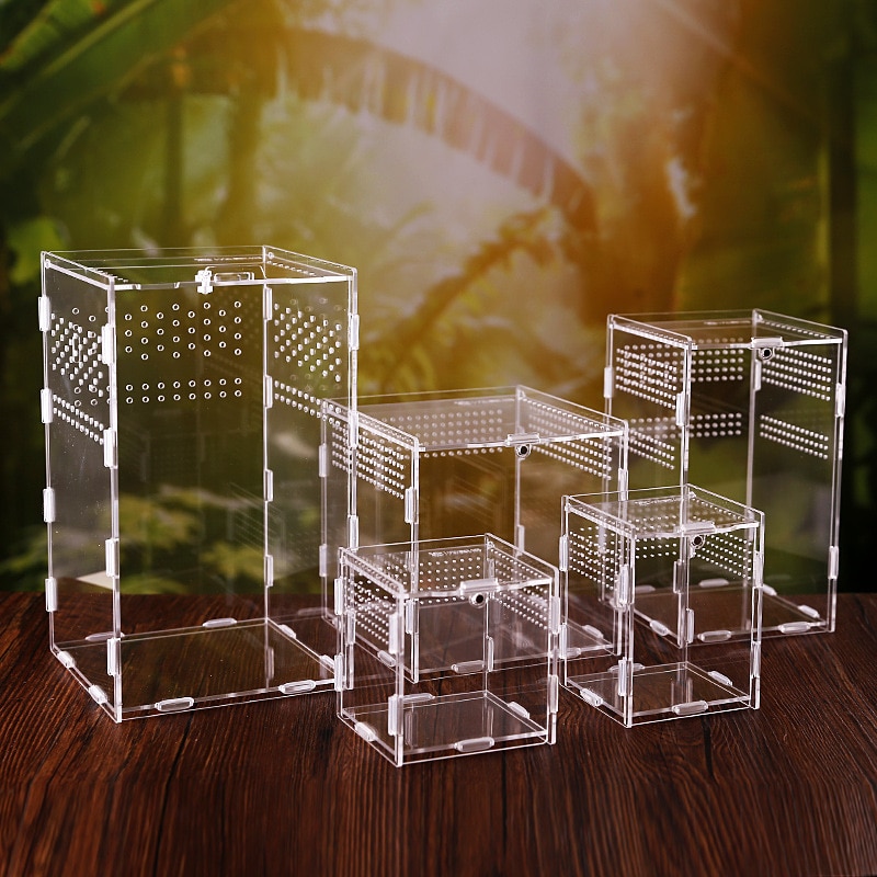 Acrylic Tarantula Enclosure Pet Box - Image 6