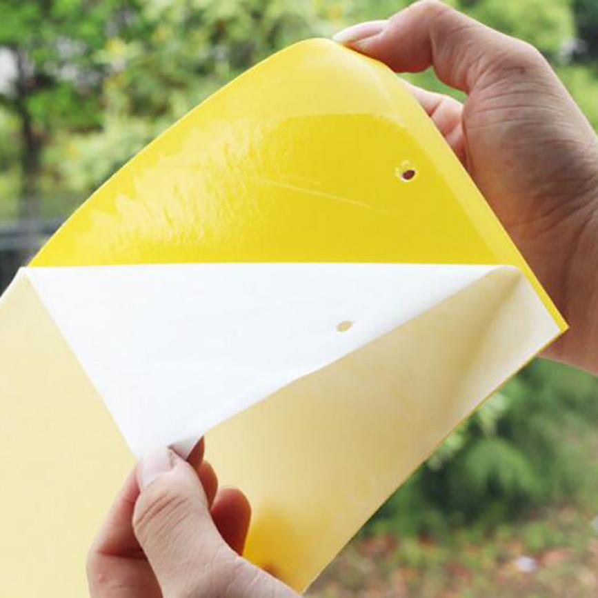 Ant Killer Sticky Board - Image 2