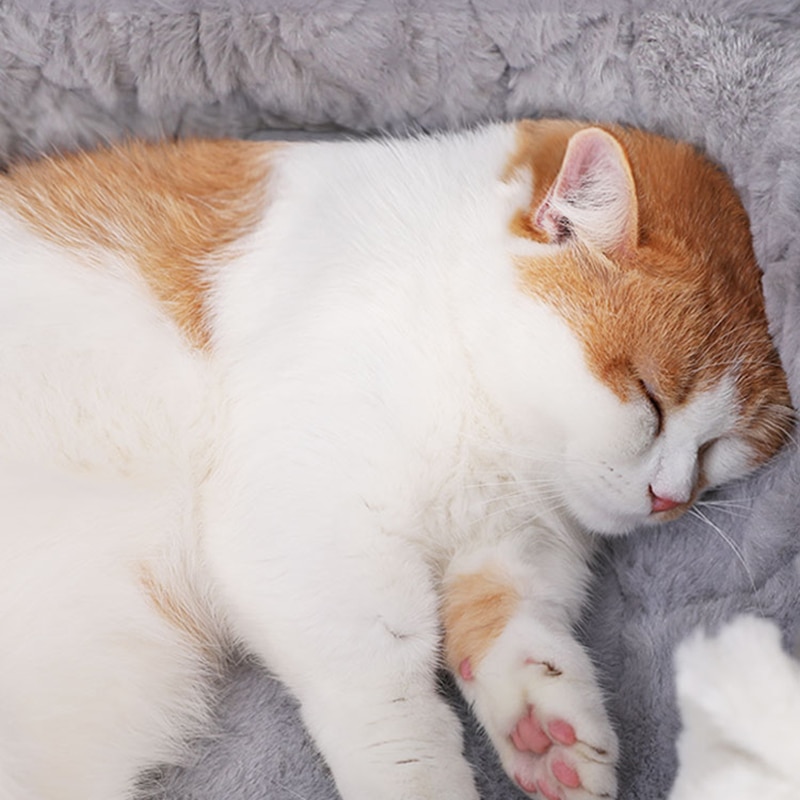 Cat Igloo Bed Pet Sleeping Kennel - Image 2