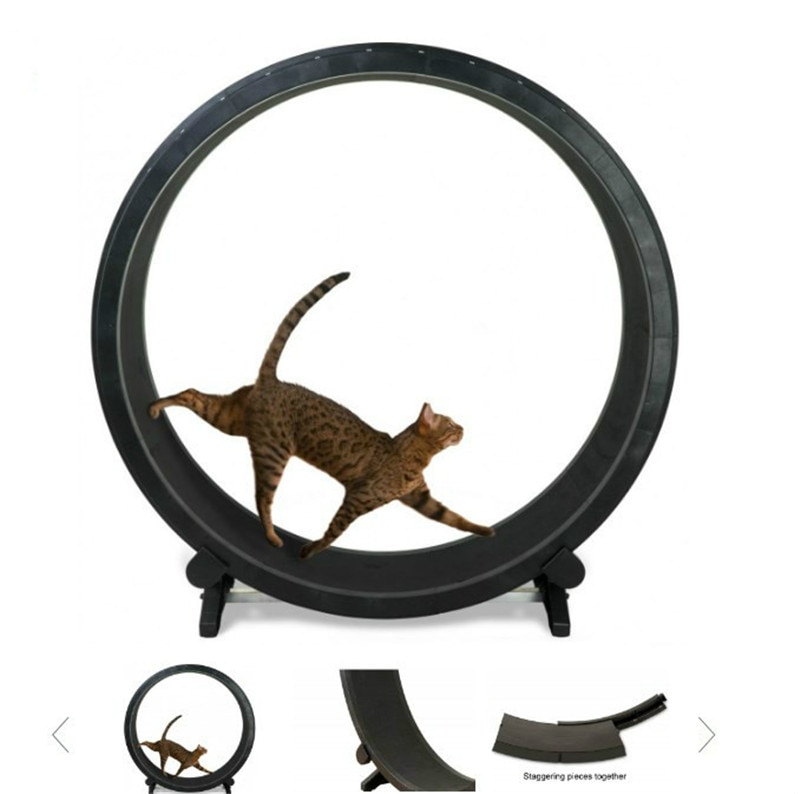Cat Treadmill Pet Accessory - Image 3