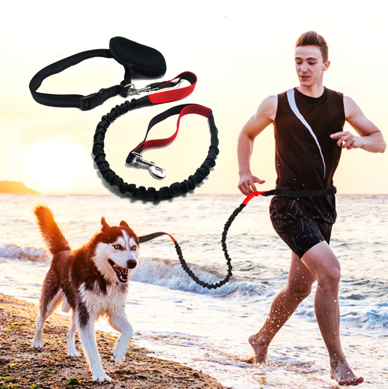 Dog Running Leash Elastic Rope - Image 6