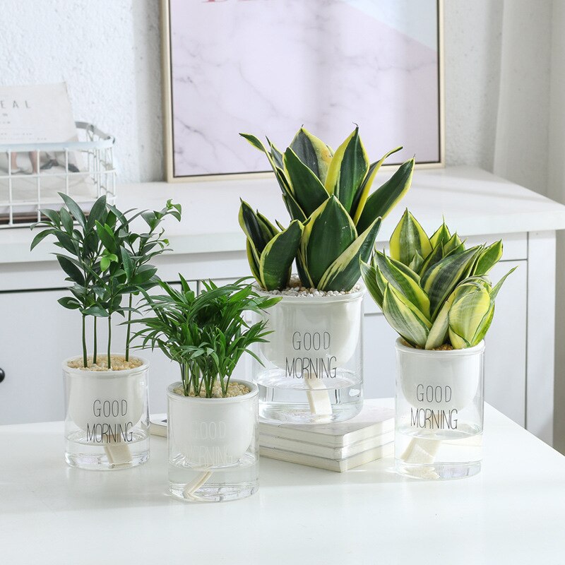 Ceramic Self Watering Pot - Image 2