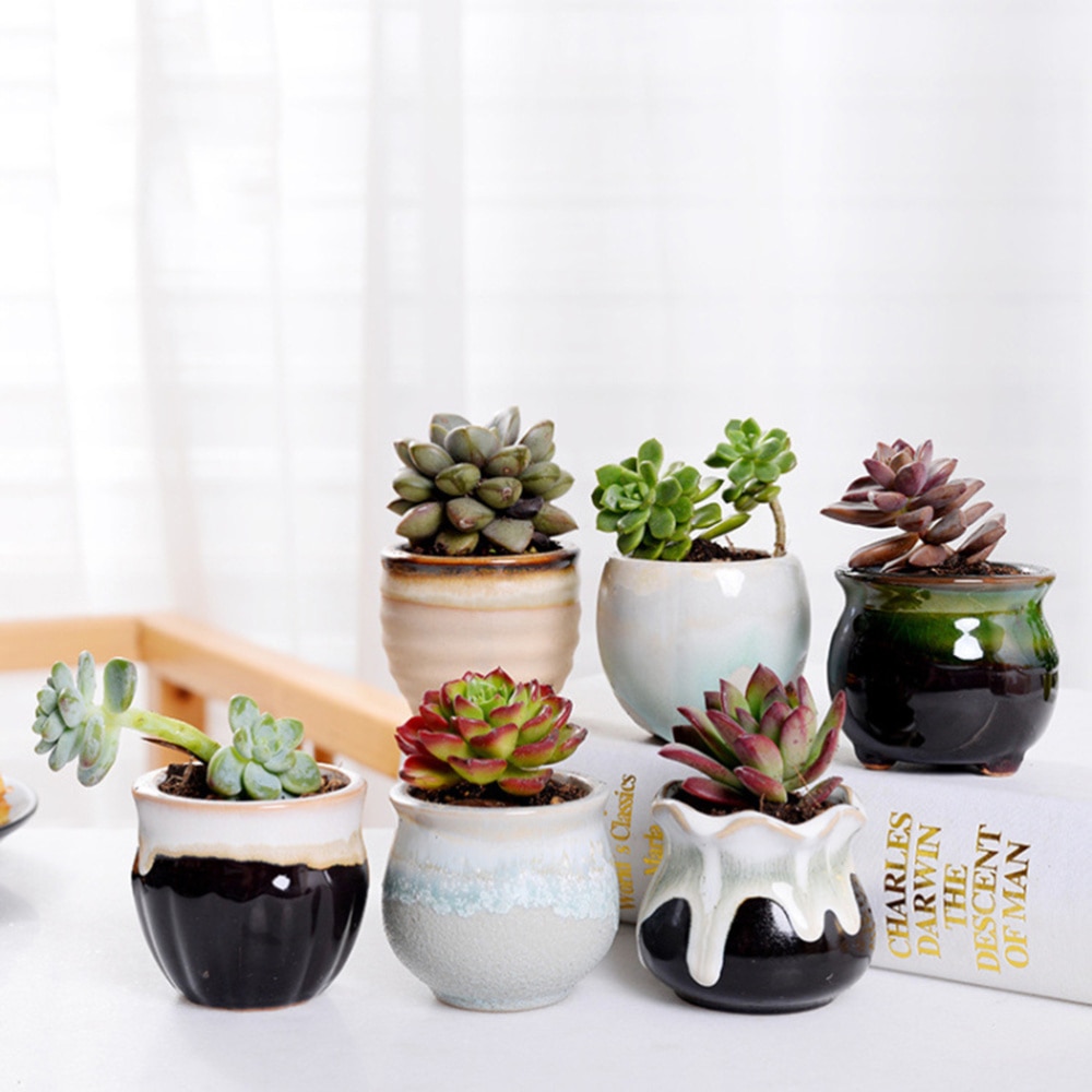 Ceramic Mini Plant Pots (6 Pcs) - Image 4
