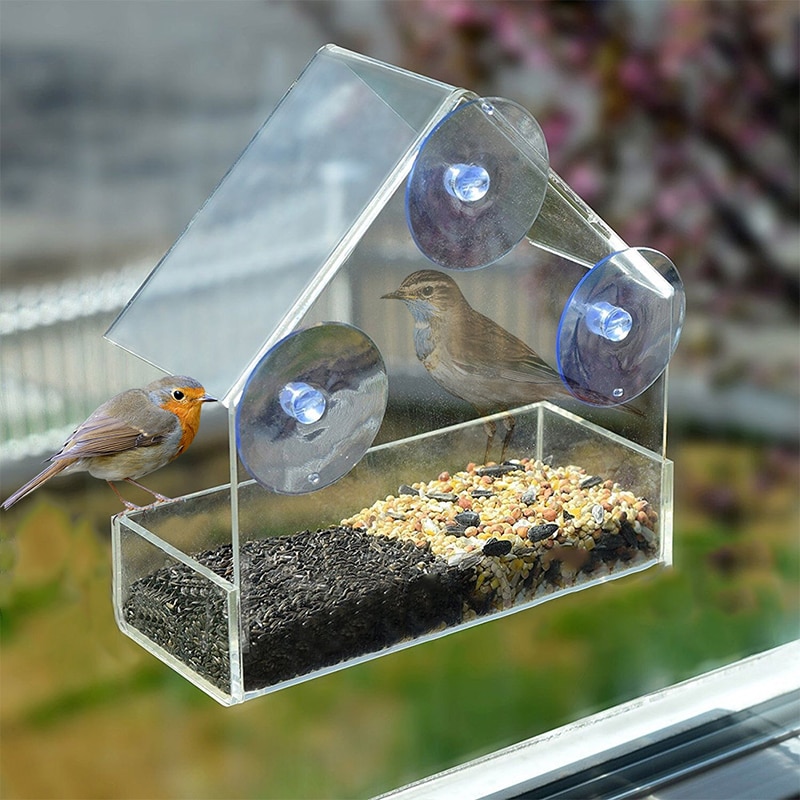 Clear Birdhouse Window Shelter Feeder - Image 5
