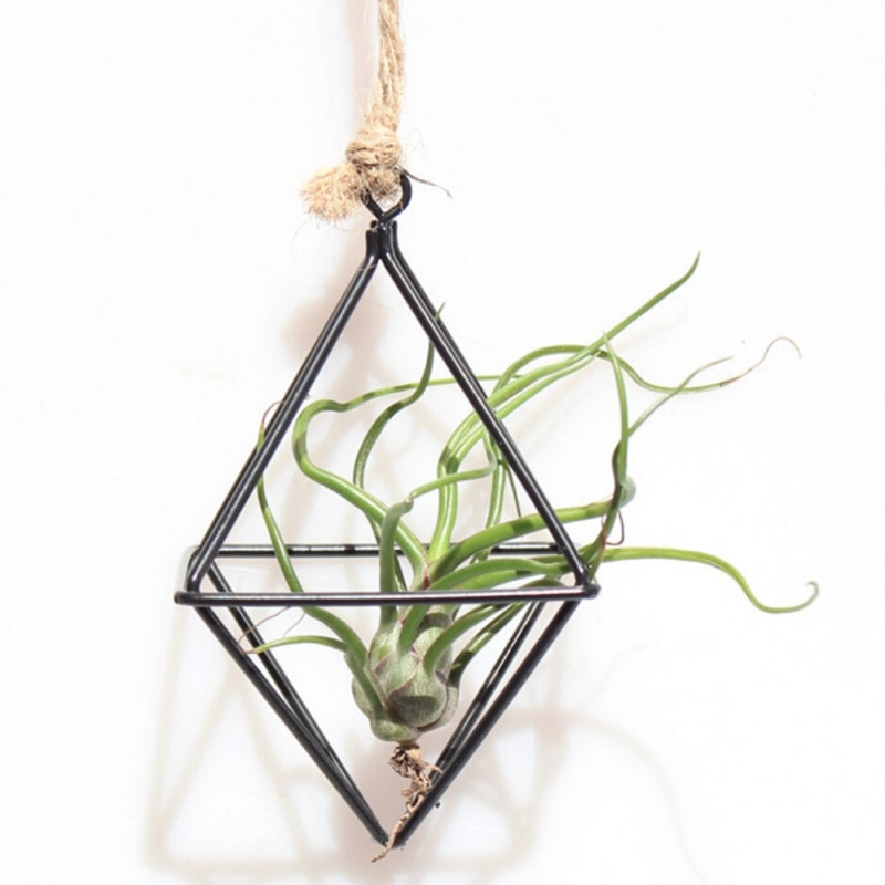 Hanging Air Plant Holder Iron Planter - Image 6