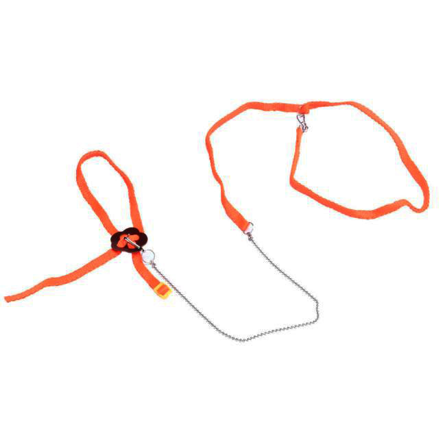 Bearded Dragon Harness Adjustable Leash - Image 2