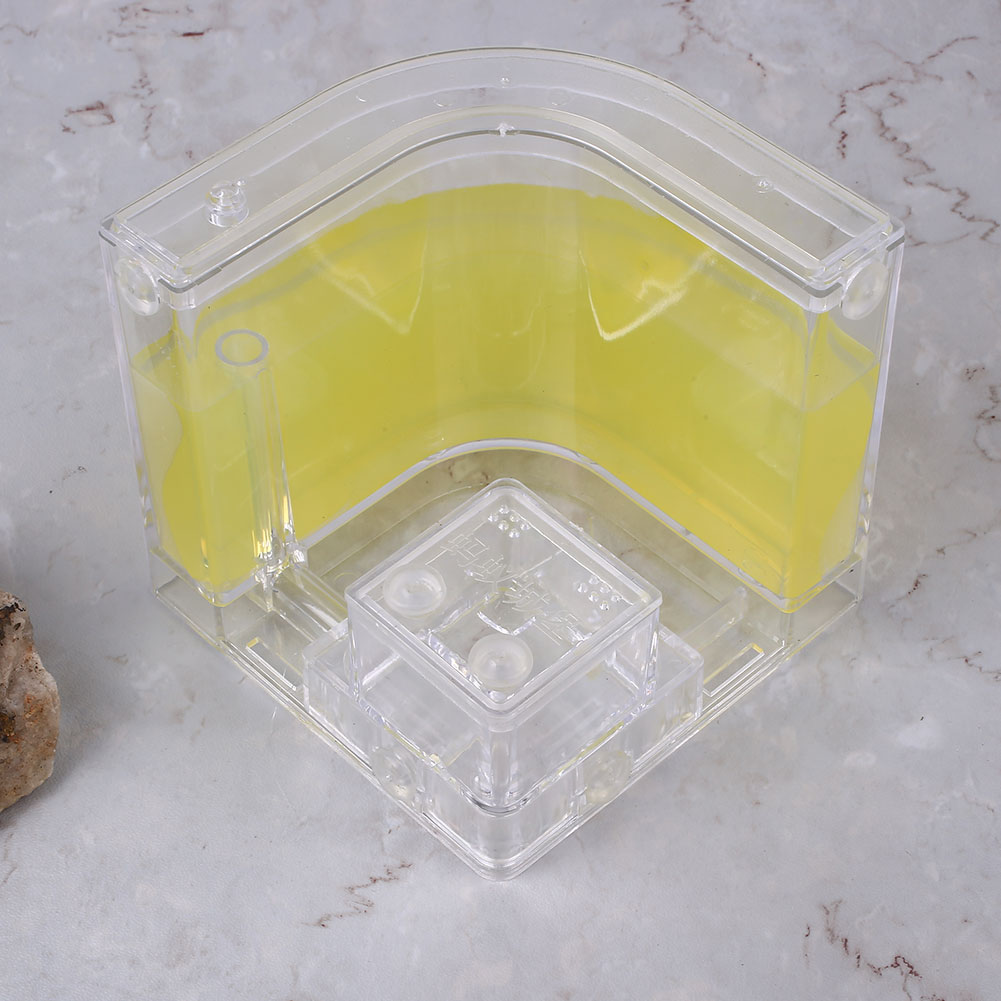 Ant Farms Gel Cage Box Kit - Image 3