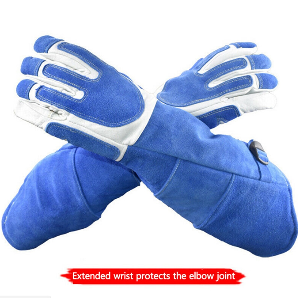 Bird Handling Gloves Training Supplies - Image 2